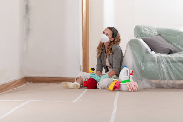 Reliable Mold Remediation contractor in Cambridge, MD by 24 Hour Mold Removal